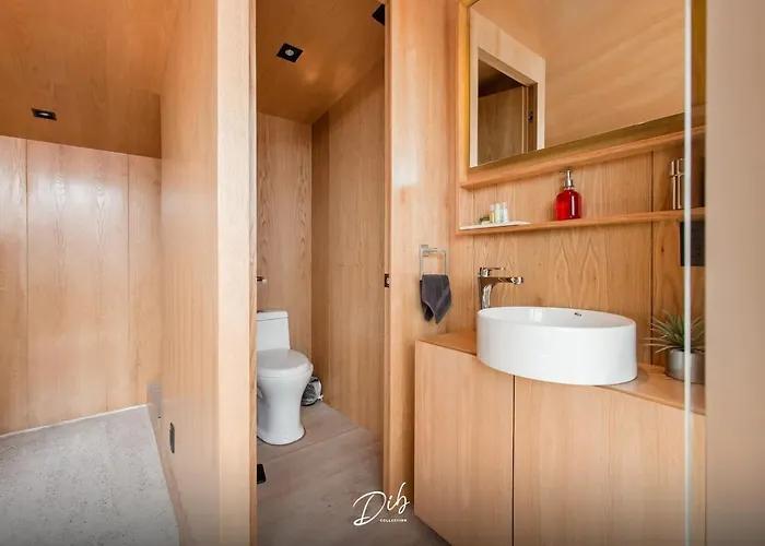 Dib Collection - Modern In Roma Norte *