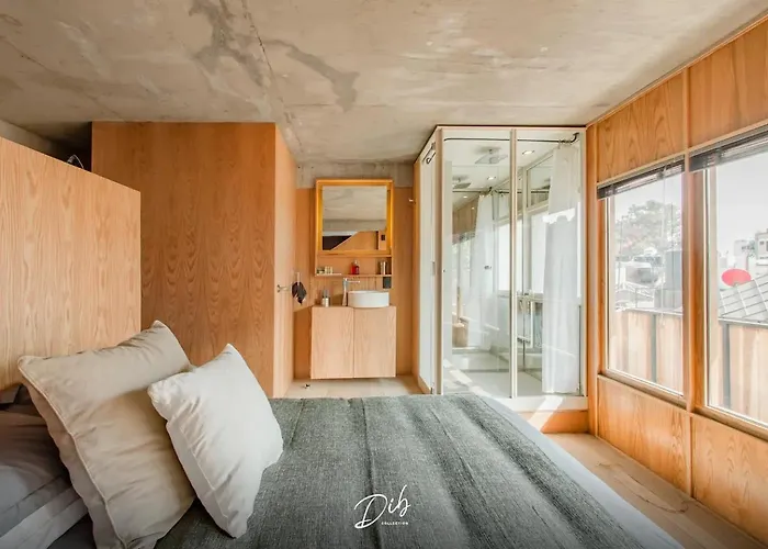Dib Collection - Modern In Roma Norte